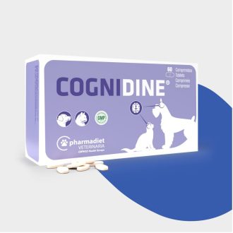 Suplemento Cognidine para perros y gatos