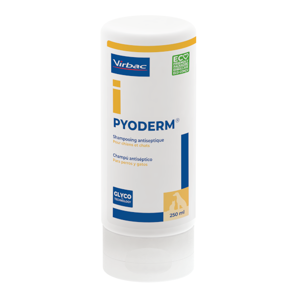champu-virbac-pyoderm
